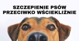 News zdjęcie id 288