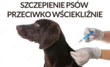 Obrazek dla news_694